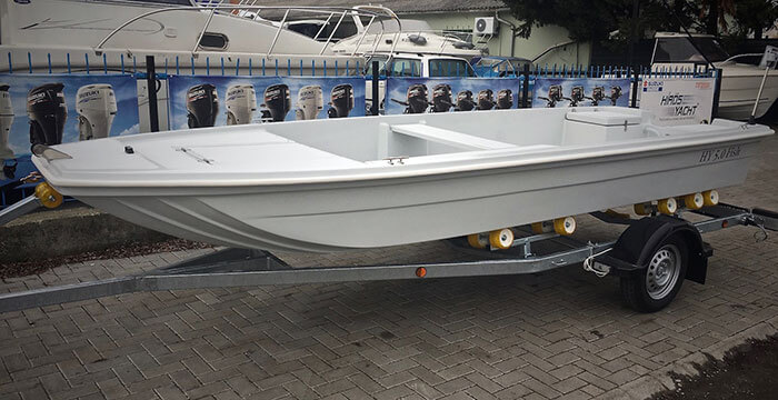 HY 5.0 Fish
